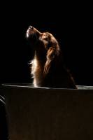 Maud et MARINE - Les bidons de lyon